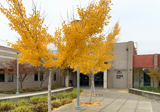 Centennial Recreation Center in Morgan Hill California