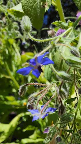 Orion Alternative School EV Charging Station at 555 Ave Del Ora