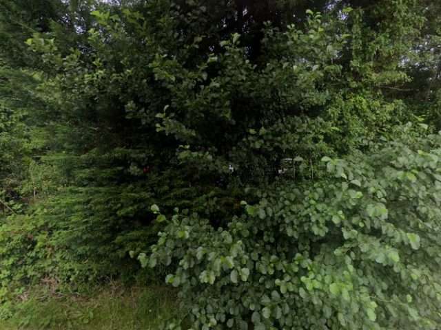 Char.gy Charging Station in Whitby United Kingdom of Great Britain and Northern Ireland