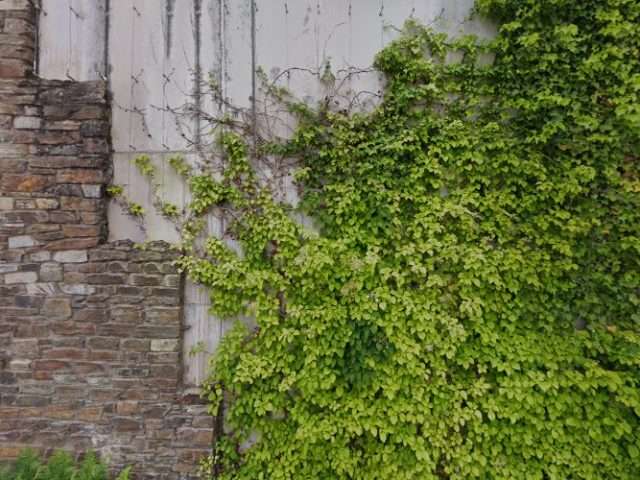 Fuuse Charging Station in Totnes United Kingdom of Great Britain and Northern Ireland