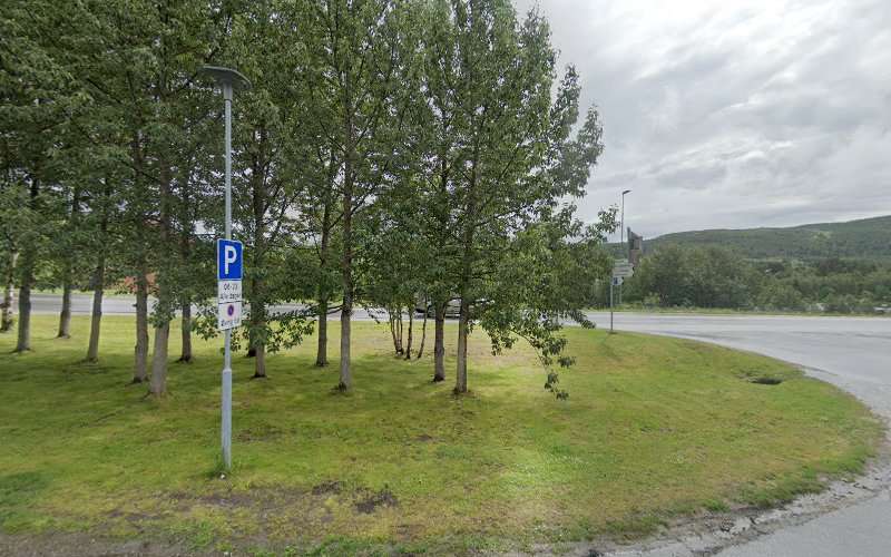 Eviny Charging Station EV Charging Station at Skurdalsvegen 1