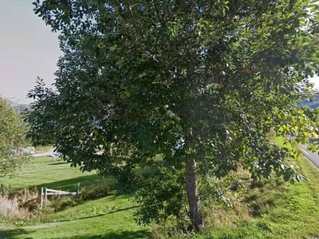 Eaton Charging Station in Øresvik Norway 8754