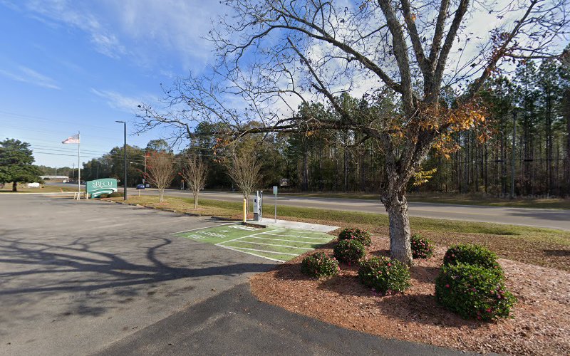ViaLynk Charging Station EV Charging Station at 201 Scott Rd