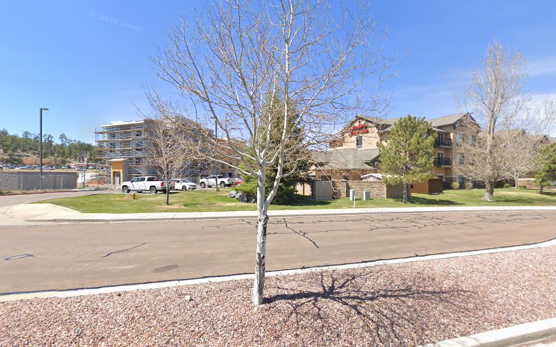 Hampton Inn Charging Station EV Charging Station at 1501 E Woolford Rd