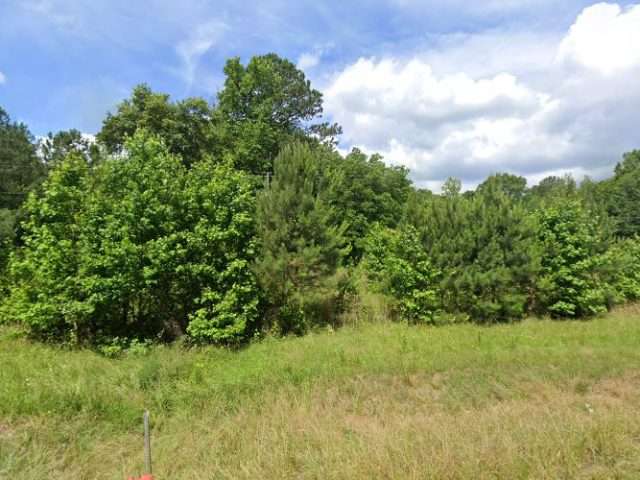 EVgo Charging Station in Union Point Georgia