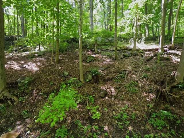 EV Connect Charging Station in Chappaqua New York