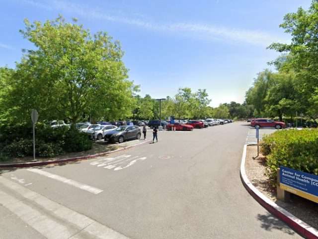 Visitor Parking Lot 55 in Davis California