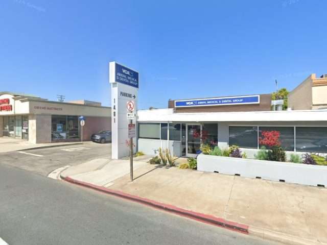 Services | Animal Medical Group in Manhattan Beach California