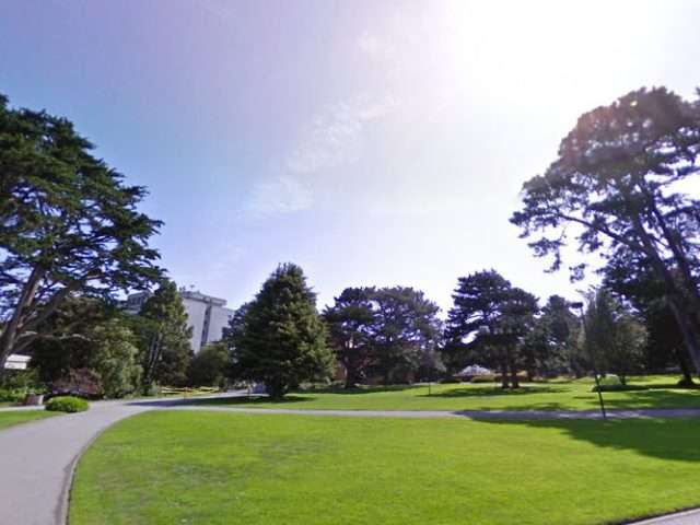 San Francisco State University in San Francisco California