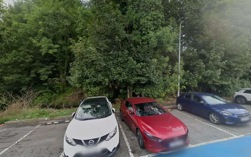 Connected Kerb Charging Station EV Charging Station at Castle Car Park