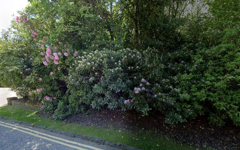 Fuuse Charging Station EV Charging Station at Main Car Park