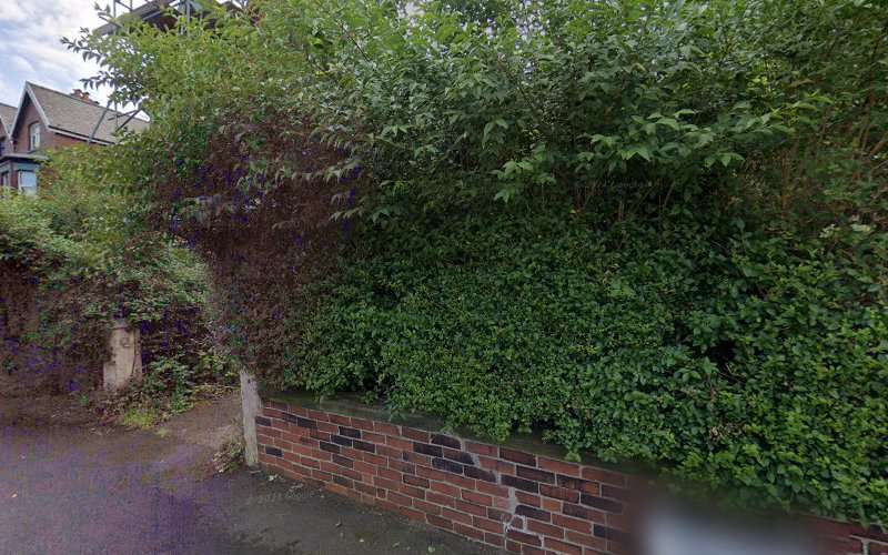 ChargePlace Scotland Charging Station EV Charging Station at 3 Zetland Rd